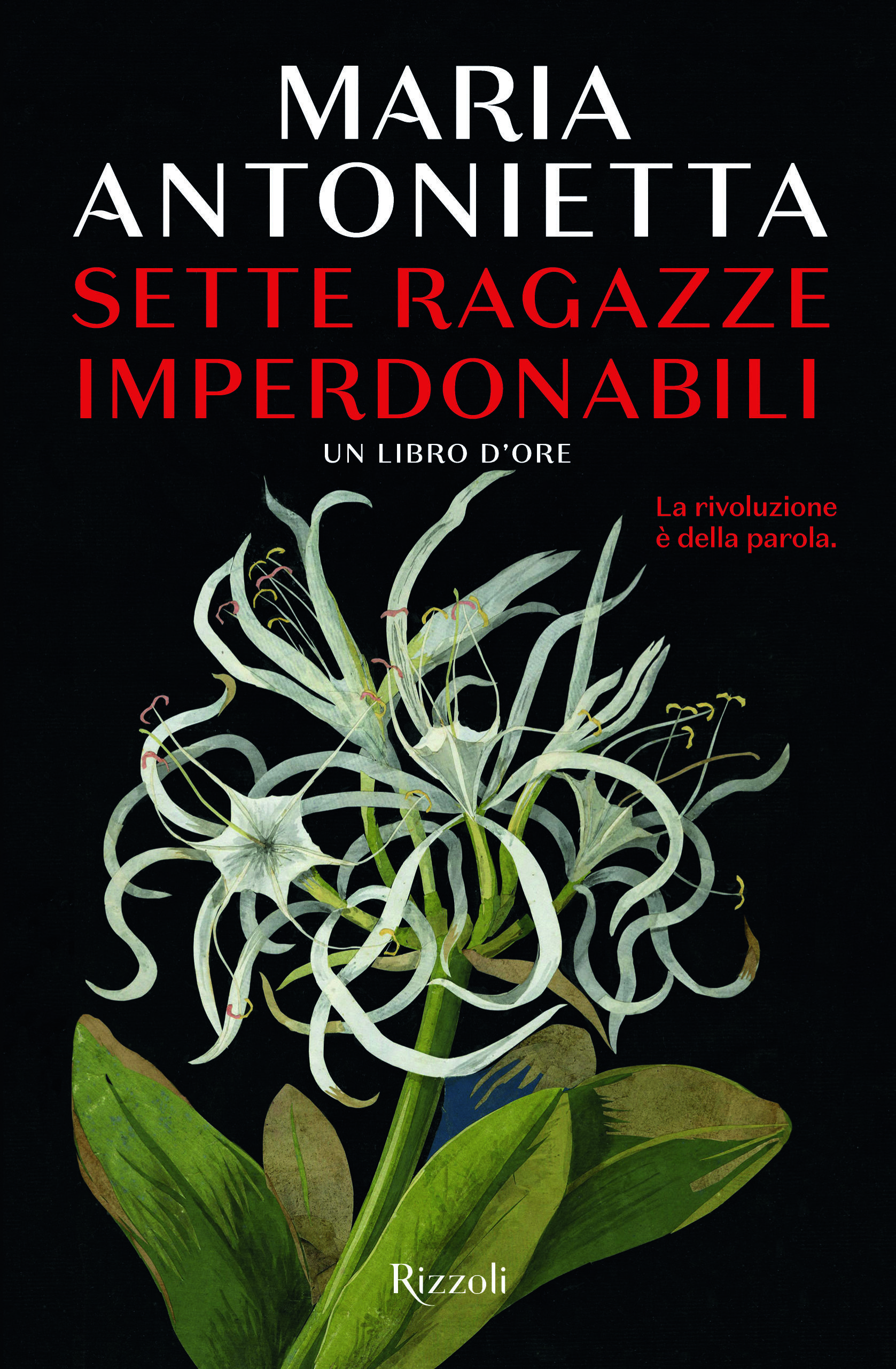 “Sette Ragazze Imperdonabili” in uscita il 19 marzo per Rizzoli.